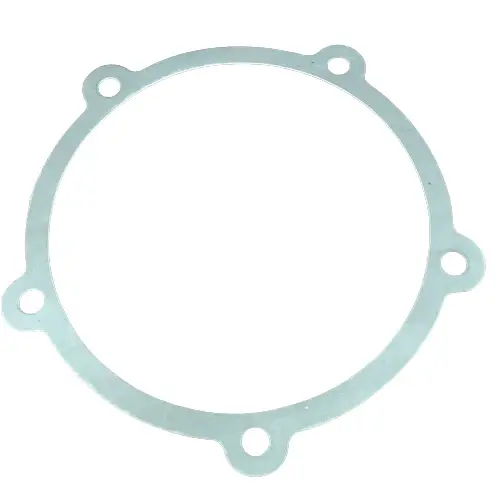 Crankcase Rear Bearing Housing Gasket