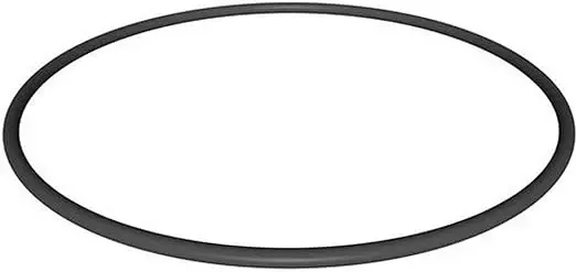 HAYWARD StarClear Plus Filter Head O-Ring CX900F