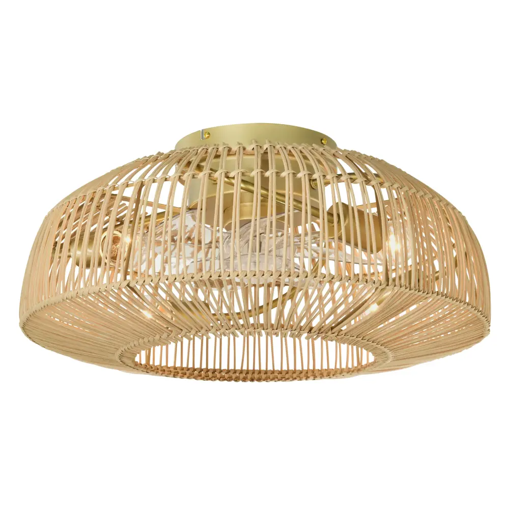 Maxax 20" Boho Caged Ceiling Fan Lights, Flush Install Rattan Ceiling Fan Lights and Remote, Enclosed Boho Ceiling Fan 6 S...