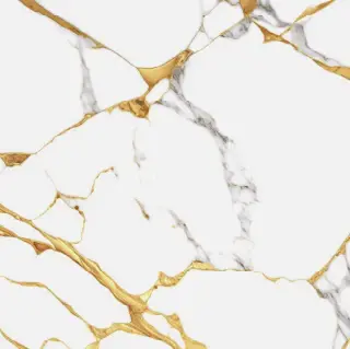 LPY66076 Valencia 60x60 (23.6" x 23.6") Floor Tile 4PPB 3.88 sqft/p