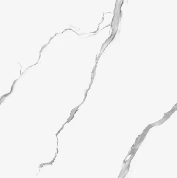 PPY66010 VIGO 60x60 (23.6" x 23.6") Floor Tile 4PPB 3.88 sqft/p