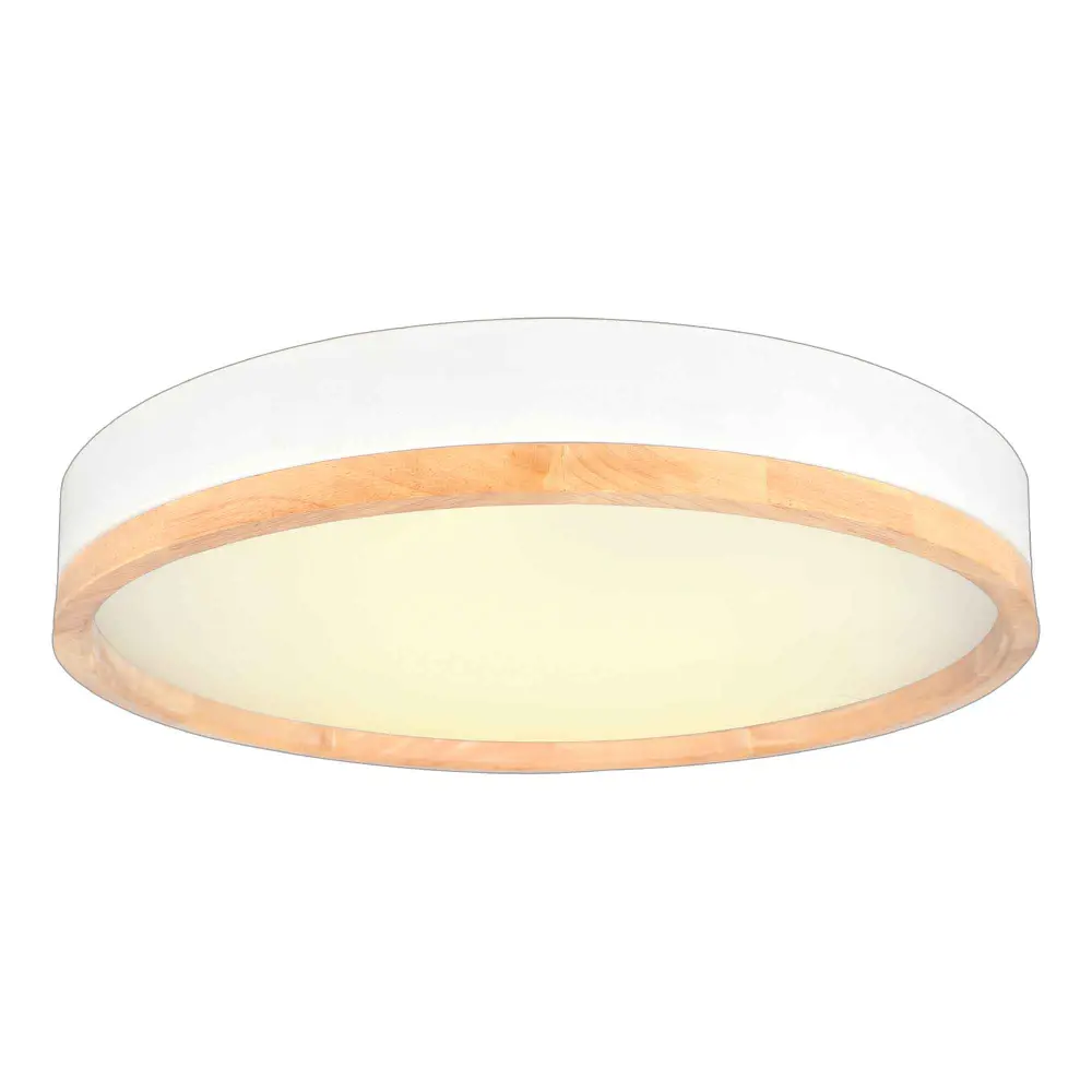 Valentina Integrated LED Ceiling Light, White and Organic
