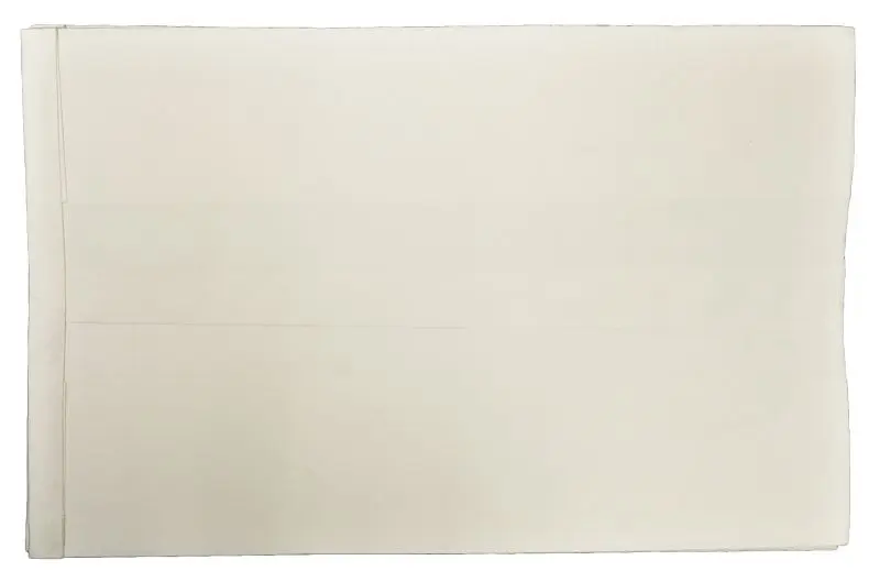 RIKON Dependable Filter Bags 63-100, 63-110 (Pack 5), 63-920