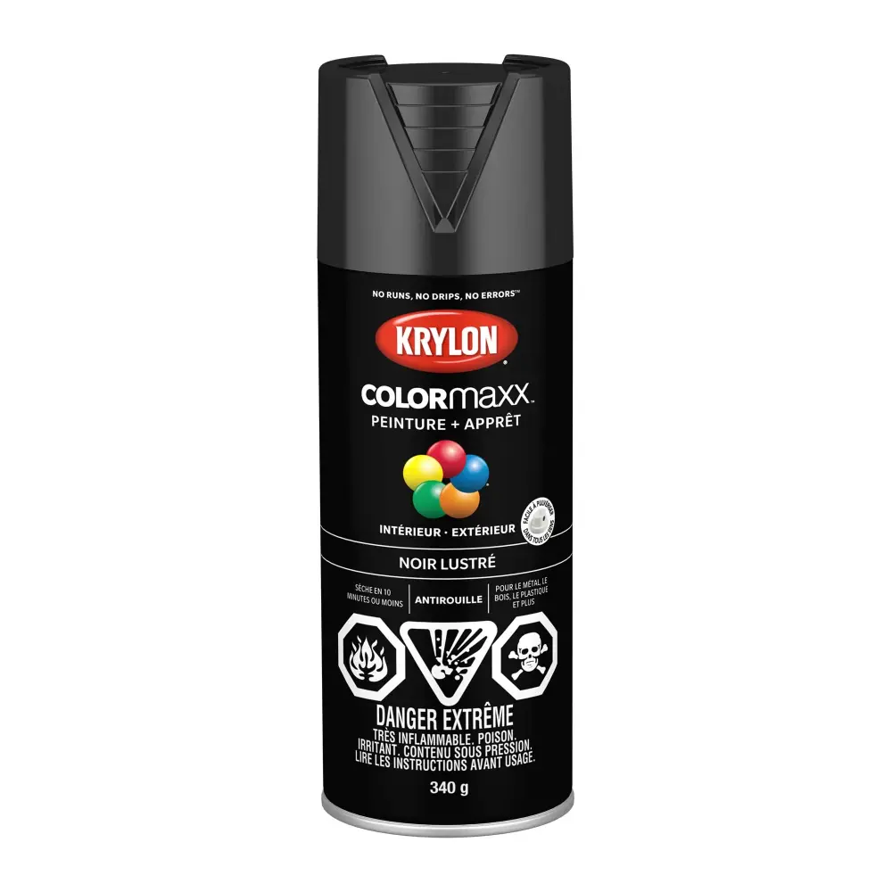 Krylon COLORMAXX Paint + Primer Gloss Charcoal, 340 g Pure White
