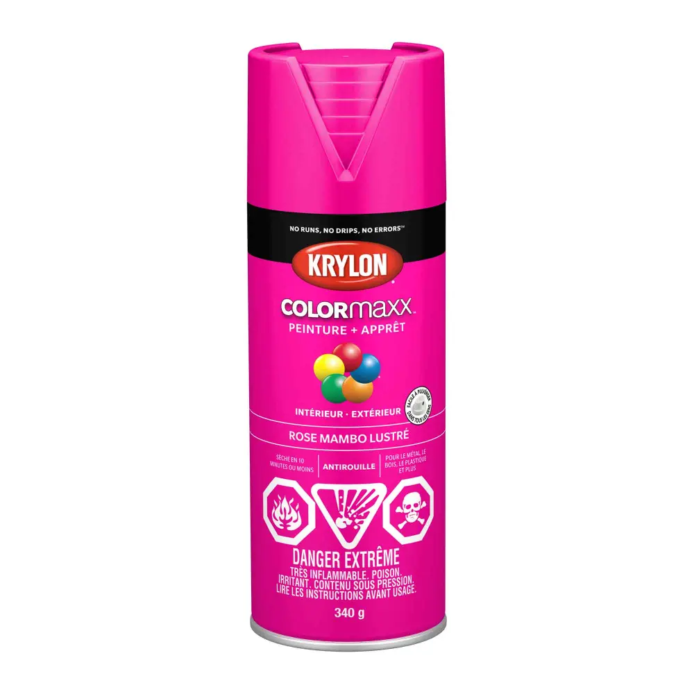 Krylon COLORMAXX Paint + Primer Gloss Mambo Blush, 340 g