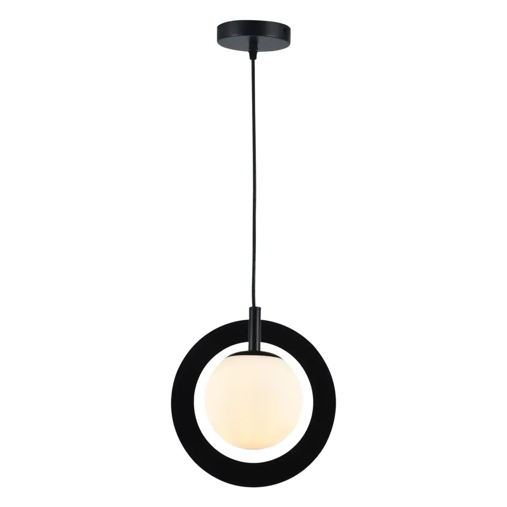 Maxax 1 - Light Unitary Globe Pendant Wrought Iron Accents #MX5014