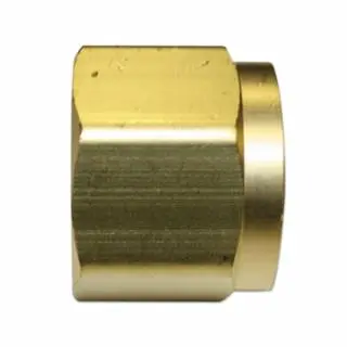 WESTERN ENTERPRISES Regulator Inlet Nut, Oxygen, Brass, Cga-540, 1 piece per pack, 62