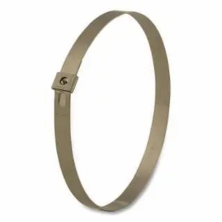 BAND-IT 1/4"X10" Smooth I.D.Tie-Lock Tie 304 Stnls Steel, 100 per Box, 1 Box, AS2119
