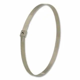 BAND-IT 26221 .177"X6.5" Polished Surfacei.D. Mini Tie-Lok Ties, 100 per Bag, 1 Bag, AS2219