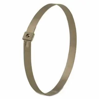 BAND-IT Maximum-Strength Tie-Lok® 304 and 316 Stainless Alloy Steel Tie, 250 lb, 35 , Silver, 100 per pack, AS2159
