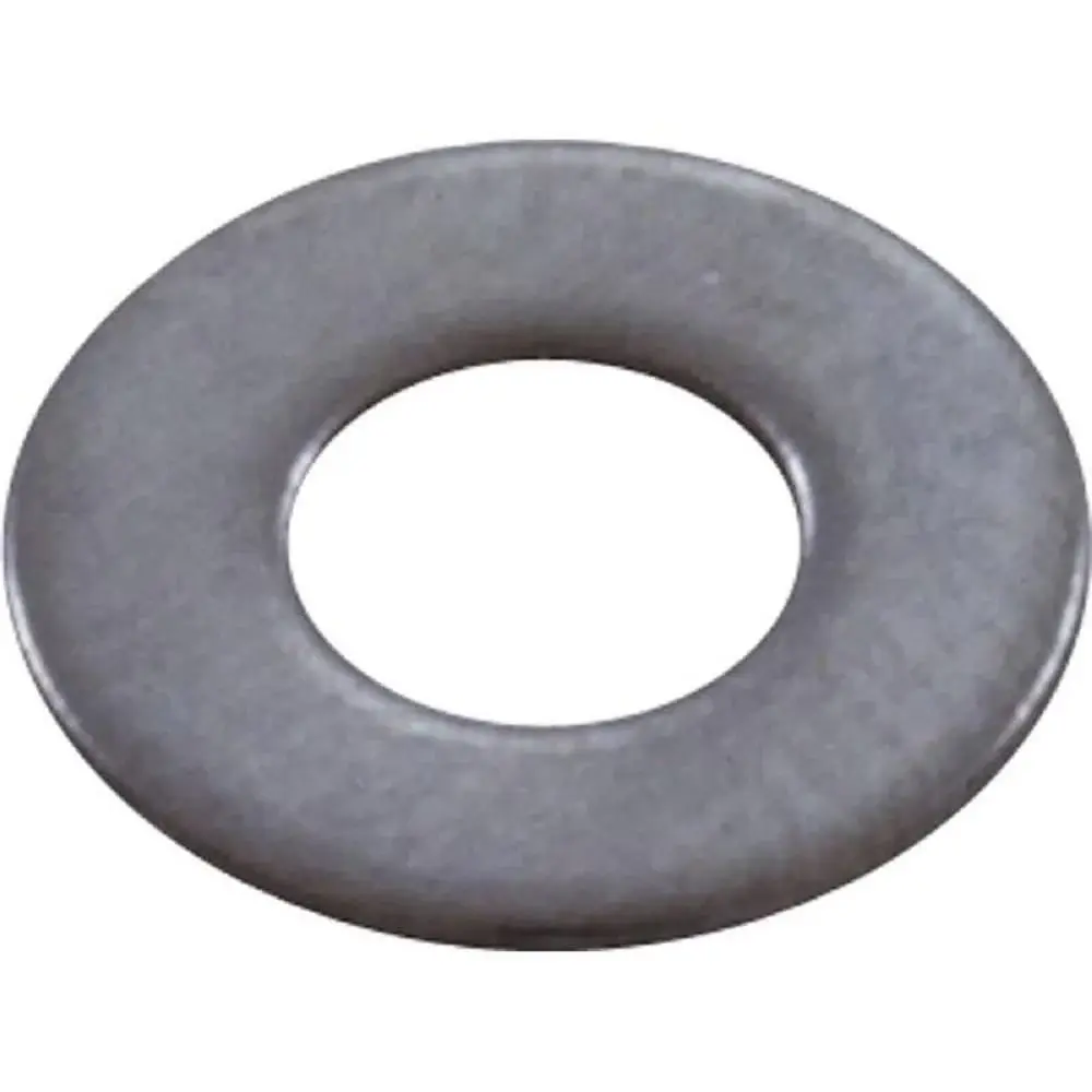 Hayward D.E.CX1641125 No. 10 Flat, Regular Plain Washer Replacement Hayward Perflex Filter and Astrolite Pool Lighting