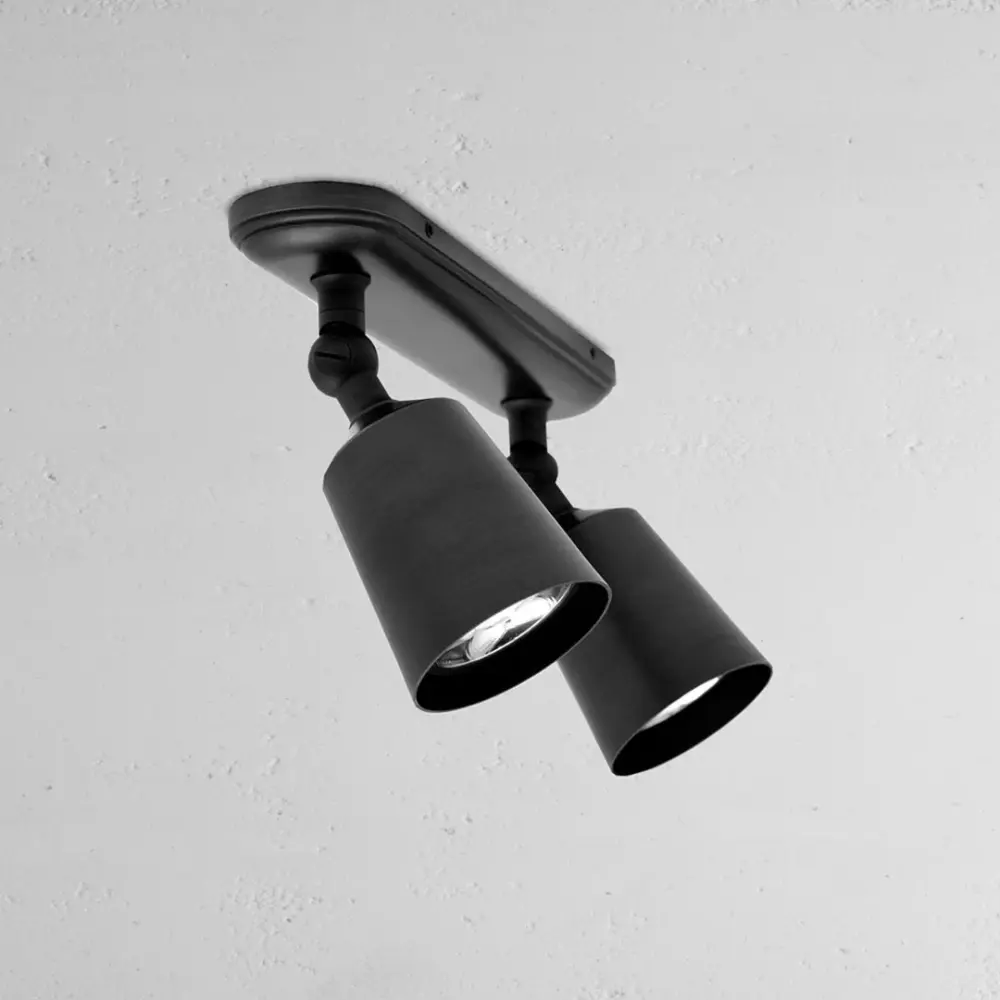 Baylis Paired 50mm Spotlight - Bronze
