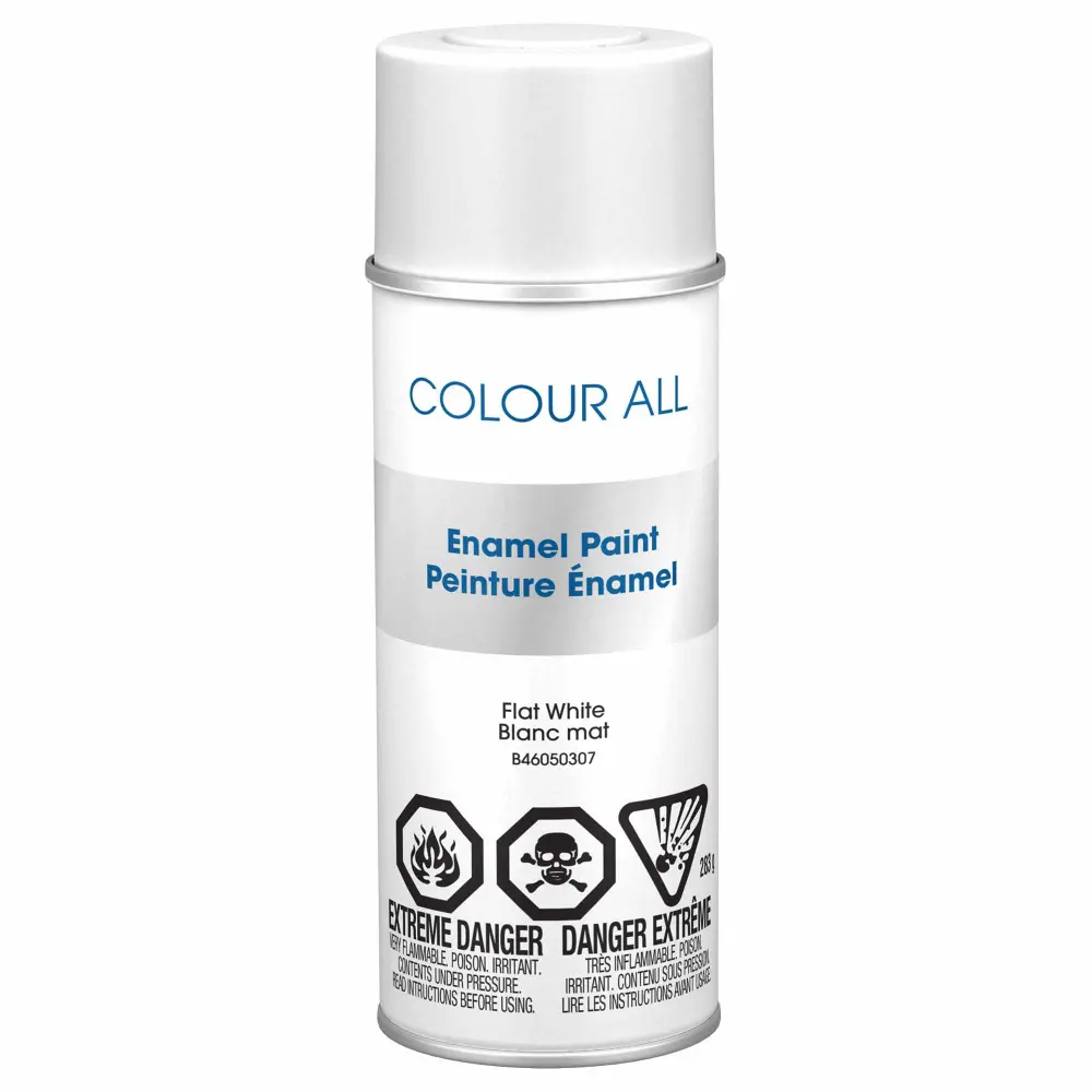 Krylon Colour All Spray Paint Flat Alabaster, 283 g
