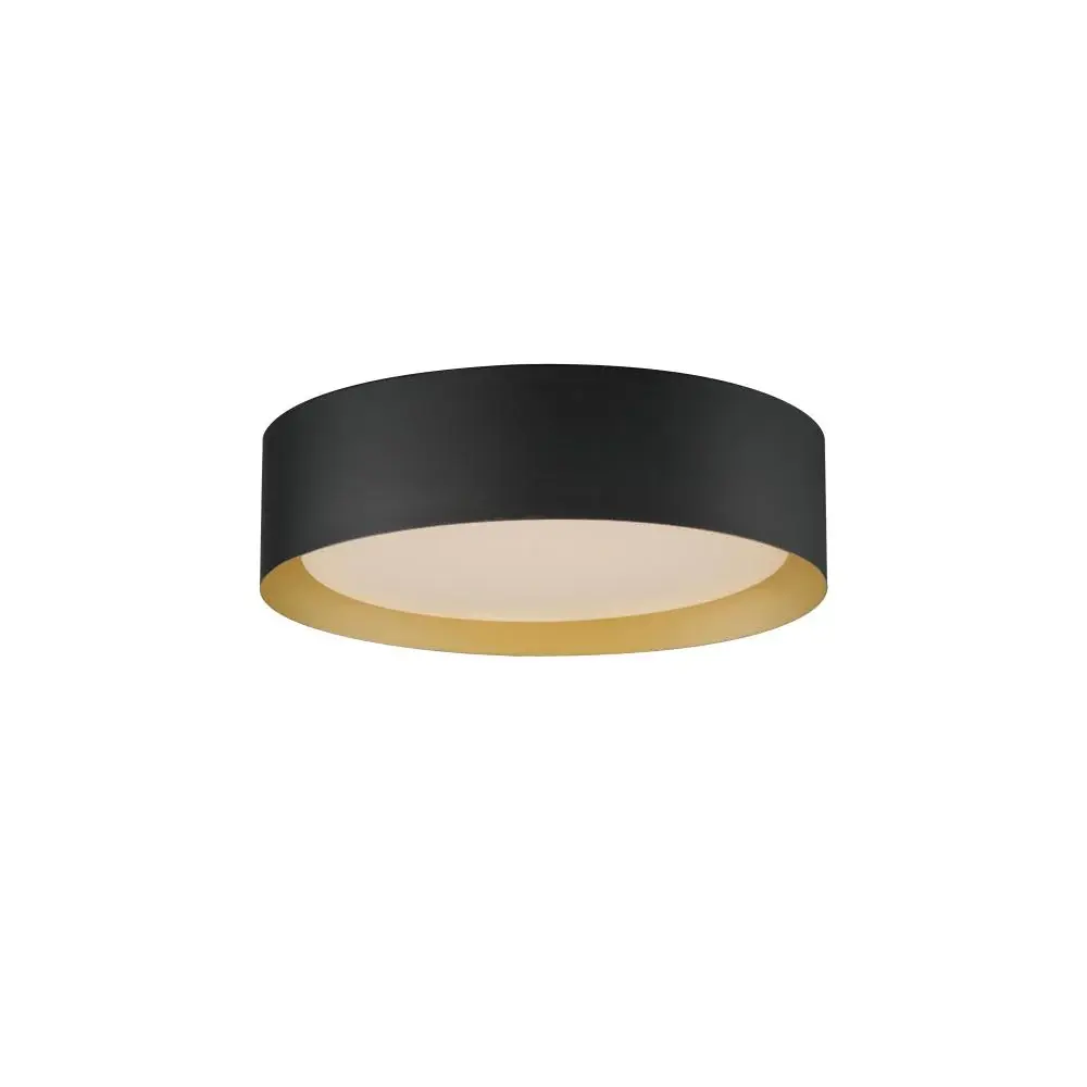Flush Mounts-ET2-51012