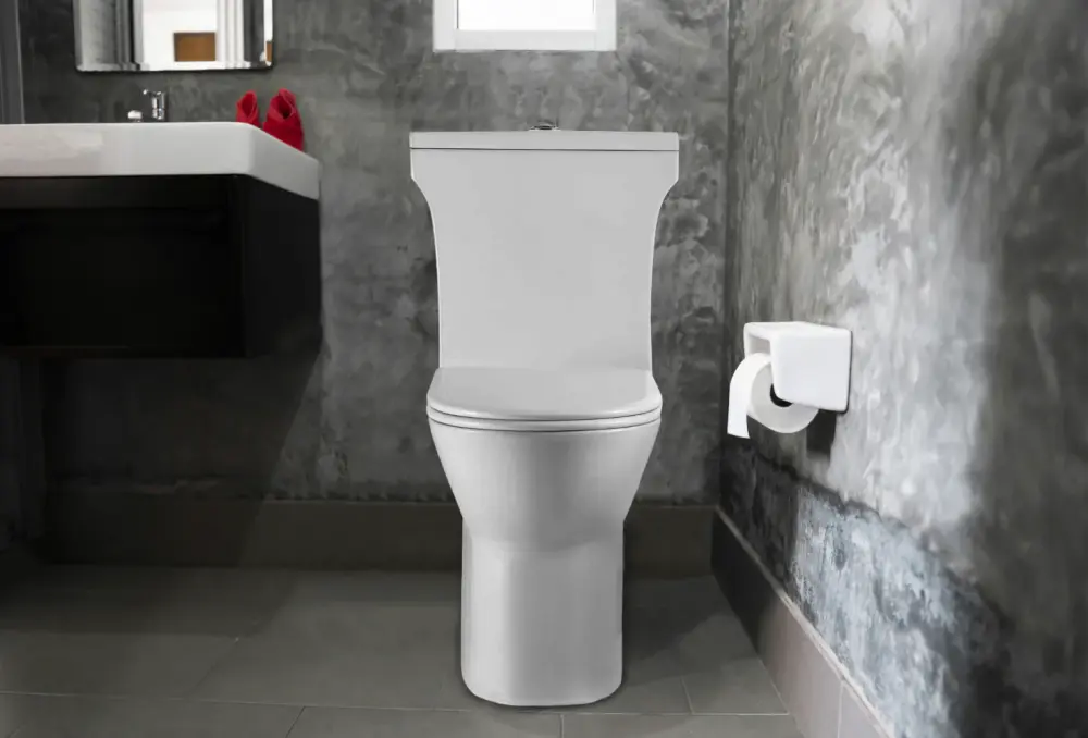 Cyklon 3 two-piece toilet