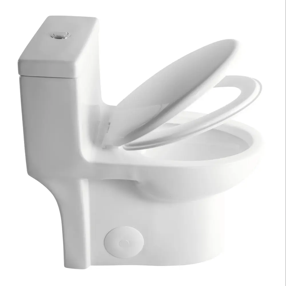 Gloss Tornado Flush 1 Piece Toilet Smooth Closing Seat, Water Saving Dual Flush - Gloss White