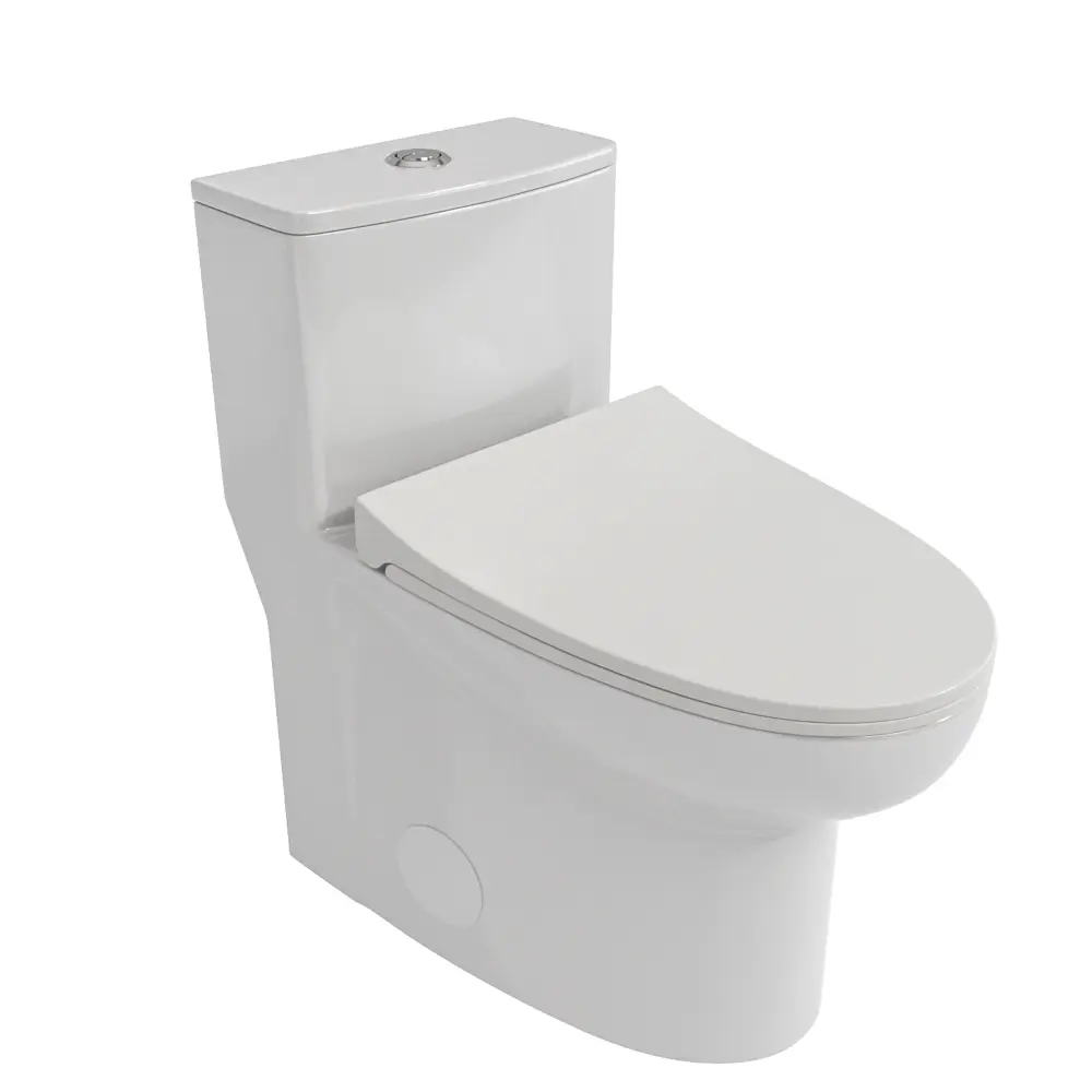 Modern 1 Piece Toilet Dual Flush And Cushiony Closing Seat - White
