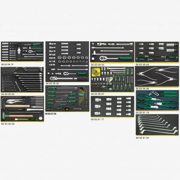 Stahlwille Mini 2500 TCS Workshop set BMW vehicles, ST97830600