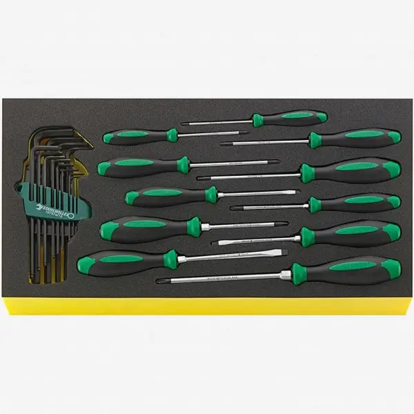 Stahlwille TCS WT 4622-4650-1 DRALL+ Set Threaded Fastenerdrivers TCS Inlay, 24 Count, ST96830126