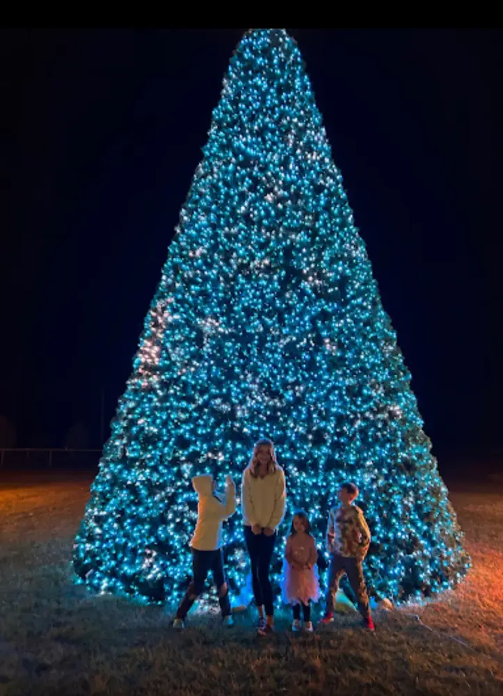 Color Changing RGB Tower Tree Kit Accessories