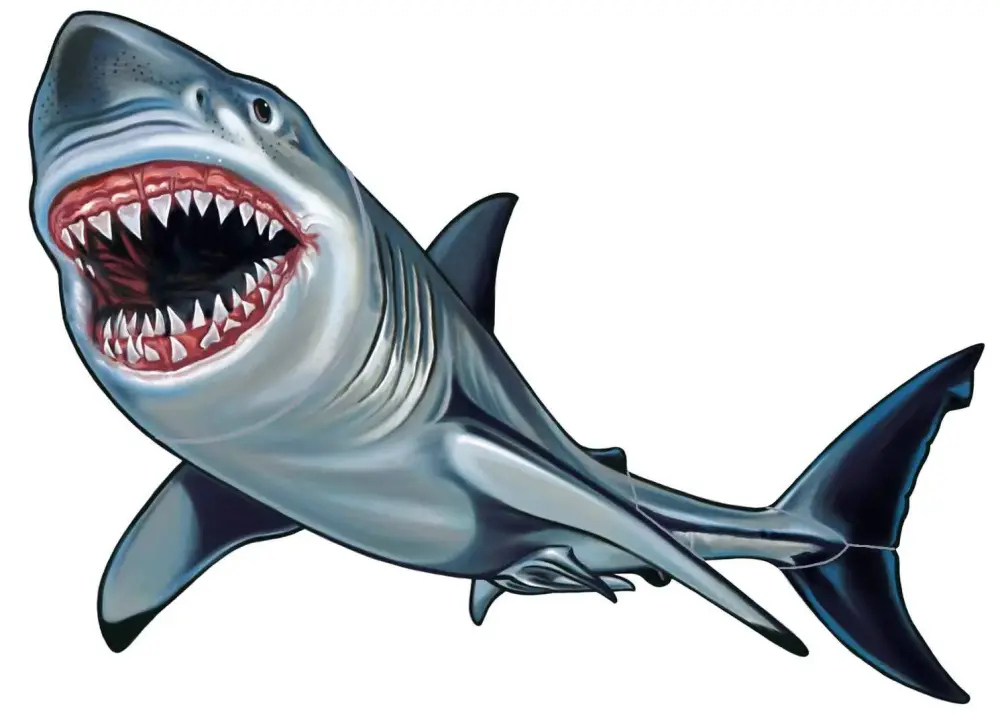 Shark Porcelain Swimming Pool Mosaic Home & Workshop