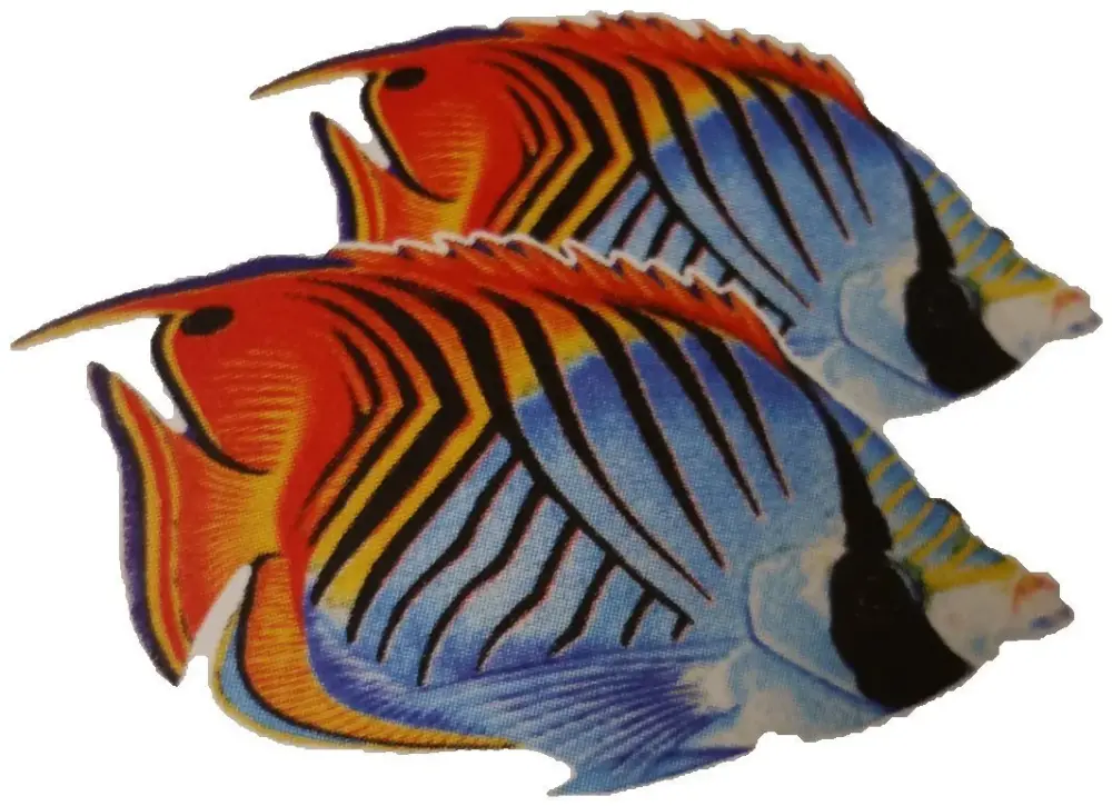 Threadfin Butterflyfish dual Porcelain Swimming Pool Mosaic (9" x 8")