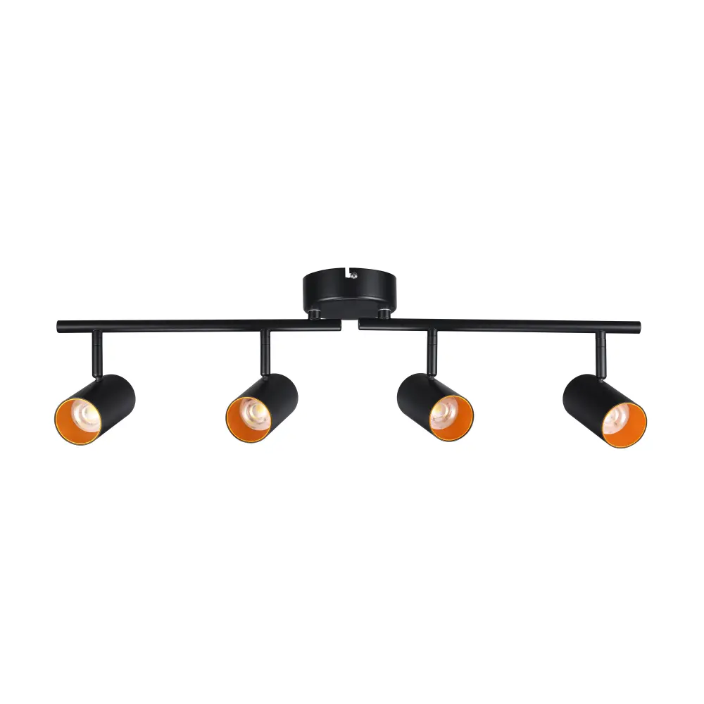 theBeam™ Plus 4-Heads LED Ceiling Spot Lights - Variable CCT